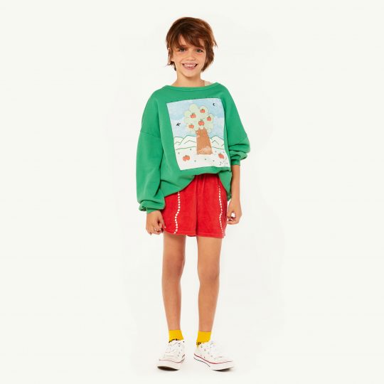 BIG BEAR KIDS SWEATSHIRT GREEN LANDSCAPE