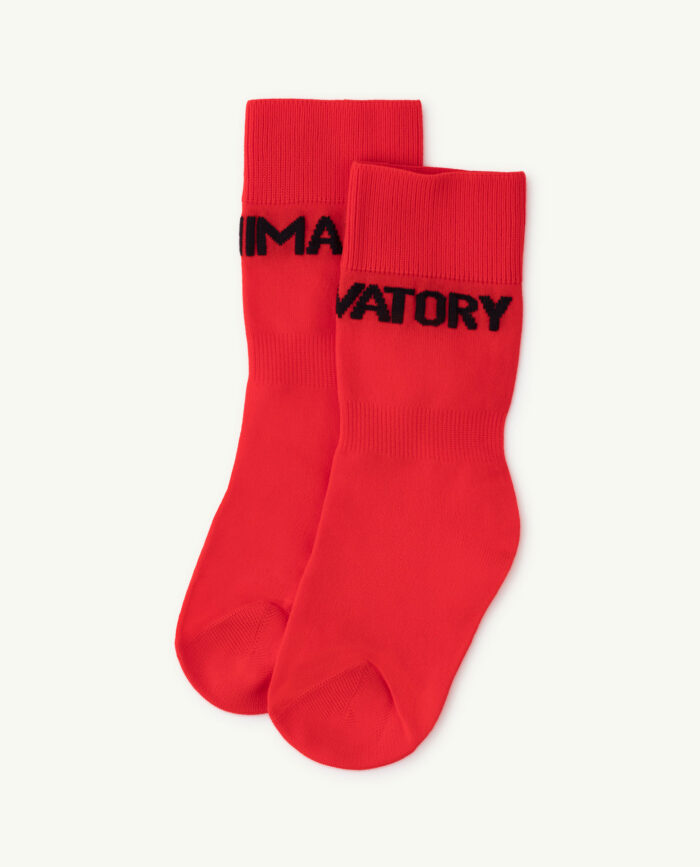 WORM SOCKS RED - Image 1