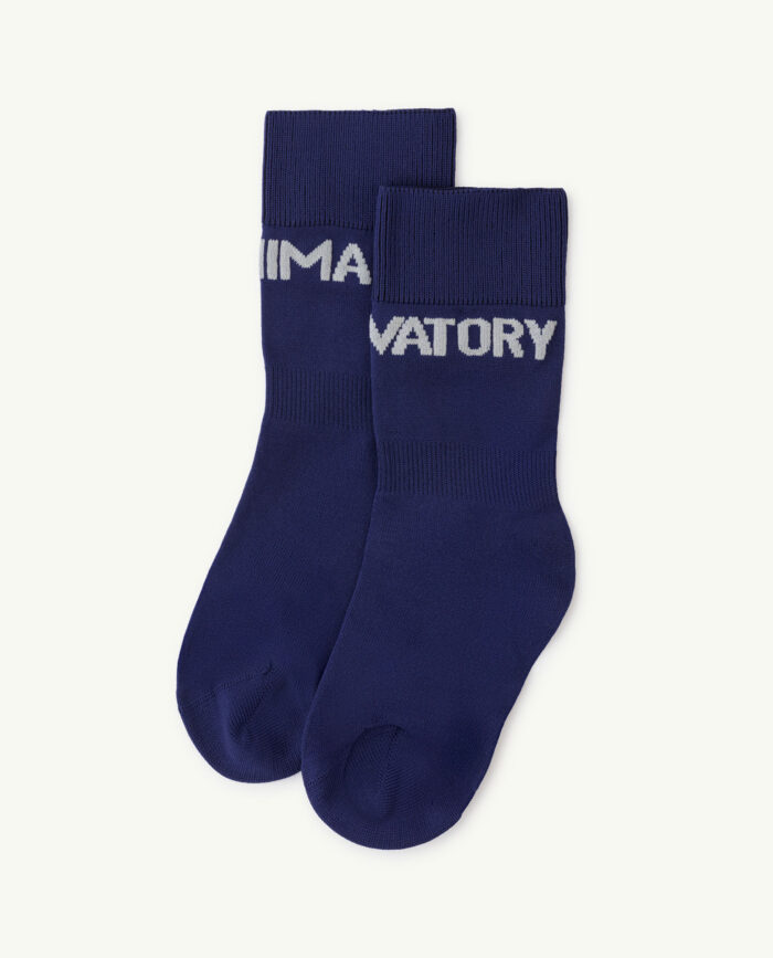 WORM SOCKS NAVY BLUE - Image 1