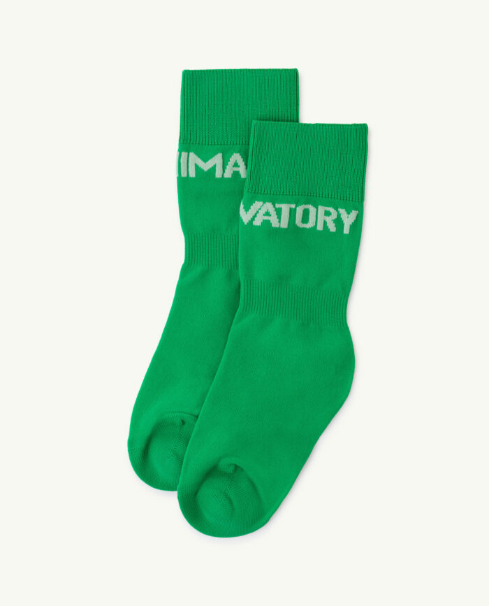 WORM SOCKS GREEN GRASS - Image 1