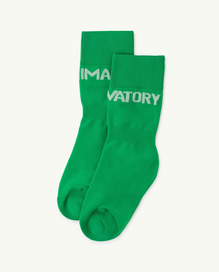 WORM SOCKS GREEN GRASS