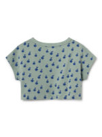 APPLES CROPPED SWEATSHIRT - Image 2