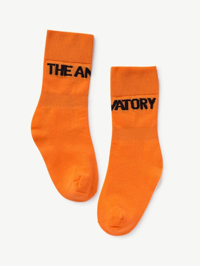 WORM KIDS SOCKS ORANGE - Image 1