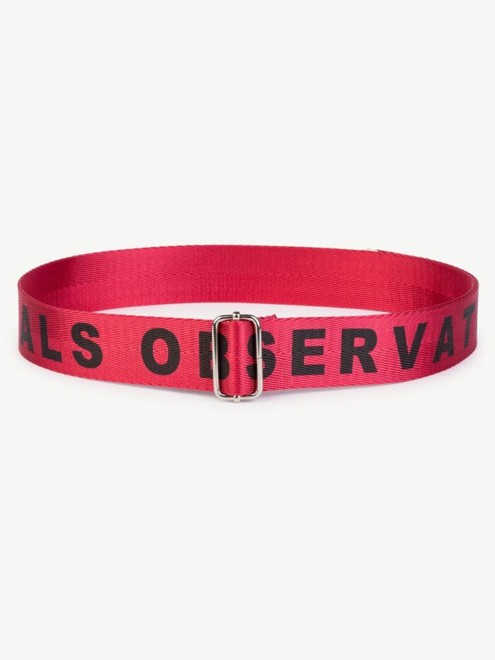 LIZARD KIDS BELT RED LETTERS - Image 1