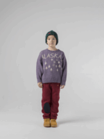 ALASKA JACQUARD JUMPER - Image 2