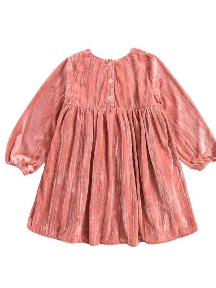 CHACHANI RUSTY DRESS - Image 5