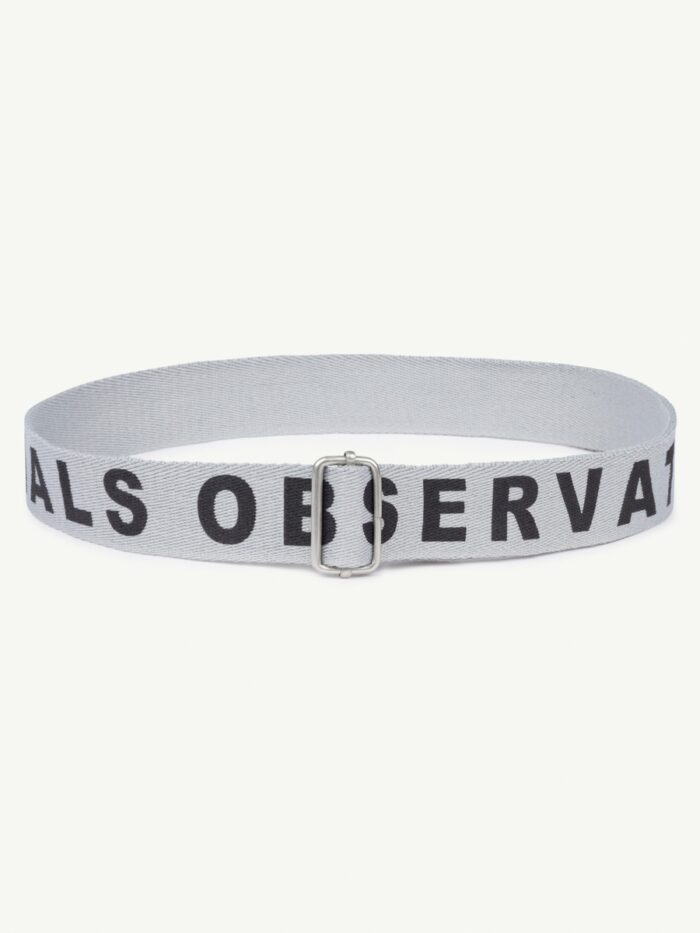 LIZARD BELT GREY - Image 1