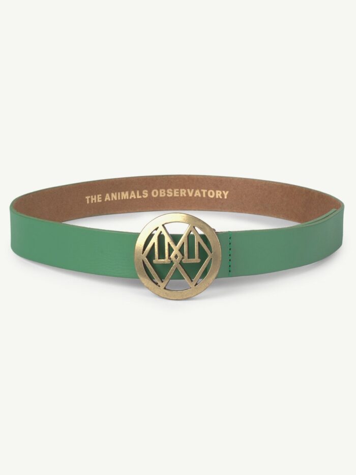 IBIS BELT GREEN - Image 1