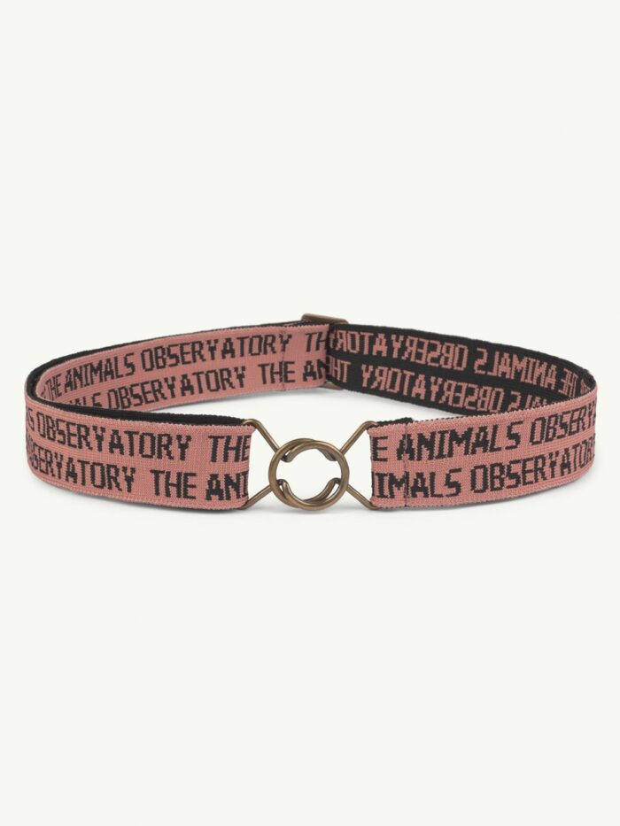 LOVEBIRD ONESIZE BELT PINK - Image 1