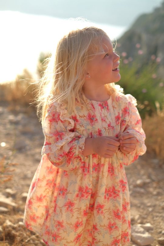 ARINOLA DRESS RASPBERRY FLOWERS