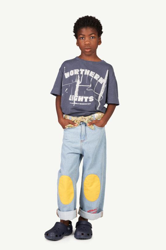 ROOSTER KIDS+ T-SHIRT DEEP BLUE NORTHERN LIGHTS